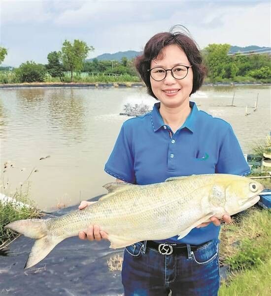 如何聯(lián)系珠海龍魚世家（如何聯(lián)系珠海龍魚世家？）