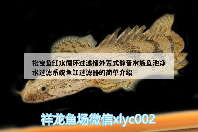 水族器材 松寶魚缸水循環過濾桶外置式靜音水族魚池凈水過濾系統魚缸過濾器的簡單介紹(松寶魚缸水循環過濾桶外置式靜音水族魚池凈水過濾器) 觀賞魚百科 松寶魚缸水循環過濾桶外置式靜音水族魚池凈水過濾系統魚缸過濾器的簡單介紹(松寶魚缸水循環過濾桶外置式靜音水族魚池凈水過濾器) 松寶魚缸水循環過濾桶外置式靜音水族魚池凈水過濾系統魚缸過濾器的簡單介紹(松寶魚缸水循環過濾桶外置式靜音水族魚池凈水過濾器) 觀賞魚百科