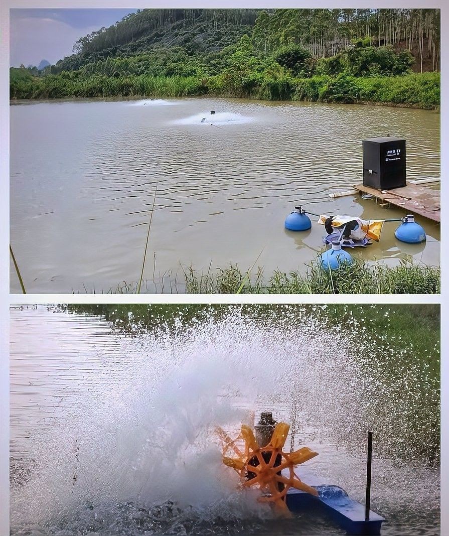 如何預防龍魚浮頭？（祺茂堂生物引起魚浮頭6個原因及應對措施漁有福說水產）