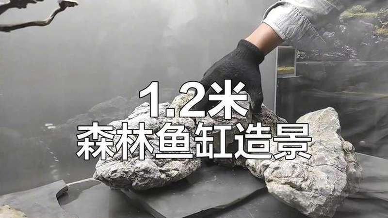 推薦一些龍魚缸制作視頻教程（龍魚缸制作教程） 推薦一些龍魚缸制作視頻教程（龍魚缸制作教程） 龍魚百科 第3張