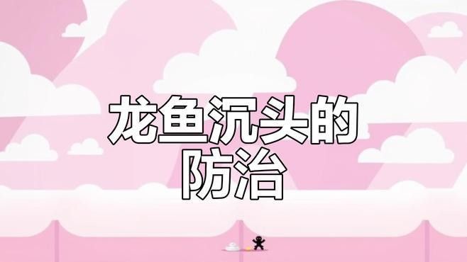 龍魚跳缸后沉頭怎么辦？（龍魚跳缸后沉頭怎么辦）