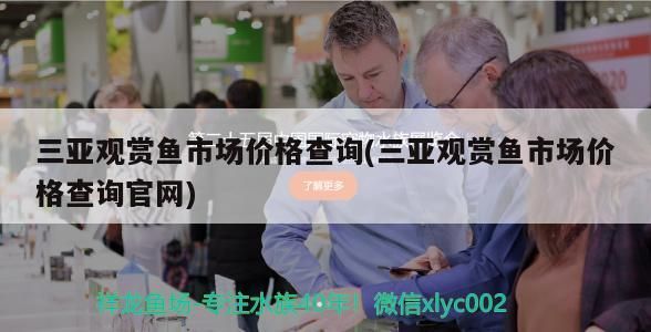 三亞觀賞魚市場價格查詢(三亞觀賞魚市場價格查詢官網(wǎng))（三亞觀賞魚價格查詢） 三亞觀賞魚市場價格查詢(三亞觀賞魚市場價格查詢官網(wǎng))（三亞觀賞魚價格查詢） 觀賞魚百科