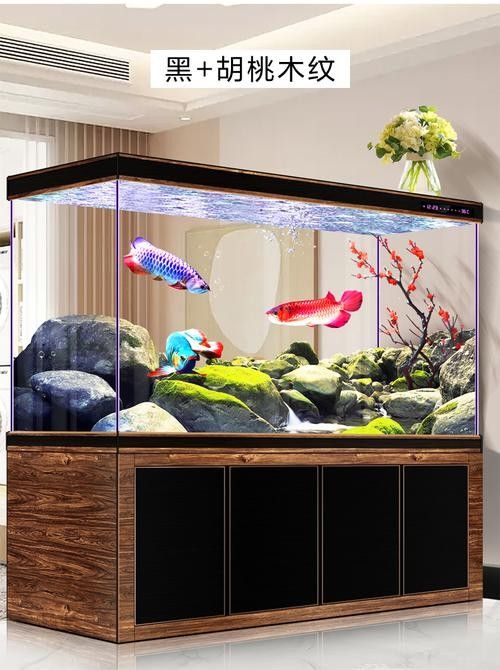 龍魚魚缸的最佳背景圖片（魚魚缸的背景圖片應該如何選擇）