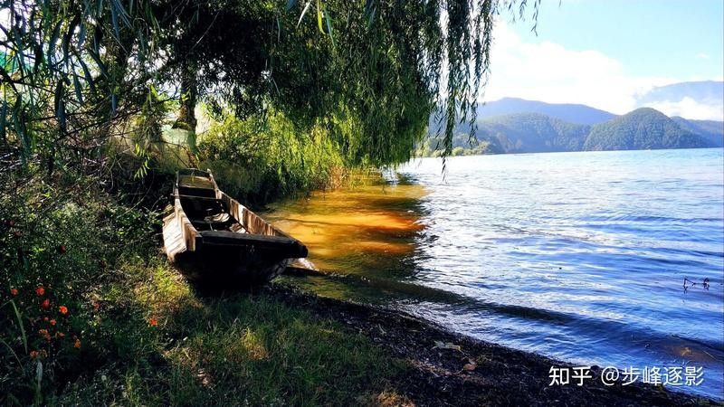 龍魚眼睛白霧感染后會有什么癥狀？，魚眼睛白霧感染后，其癥狀可能包括：龍魚眼睛有白霧