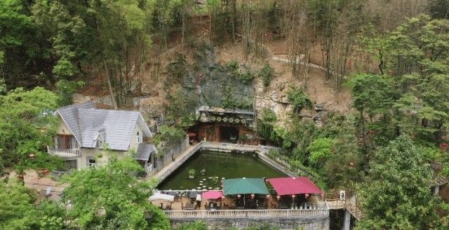 珙縣哪個水族館龍魚好？祥龍魚場龍魚（珙縣石板溪娃娃魚生態園景區的龍魚價格如何？）