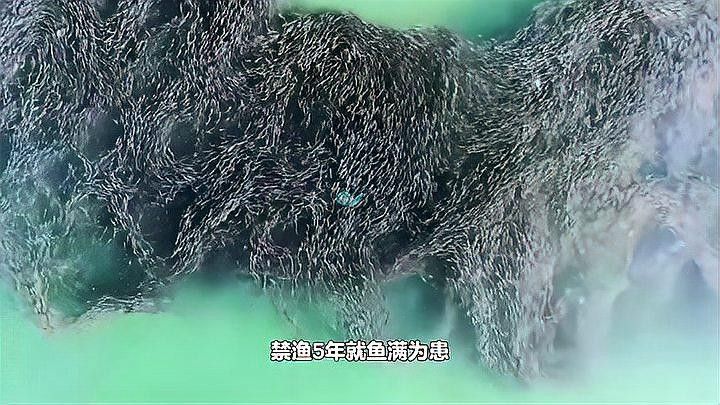 龍魚繁殖期間換水會影響繁殖嗎