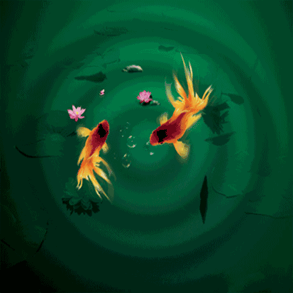 給我一些金龍魚群游的照片（關(guān)于金龍魚群游的摘要）