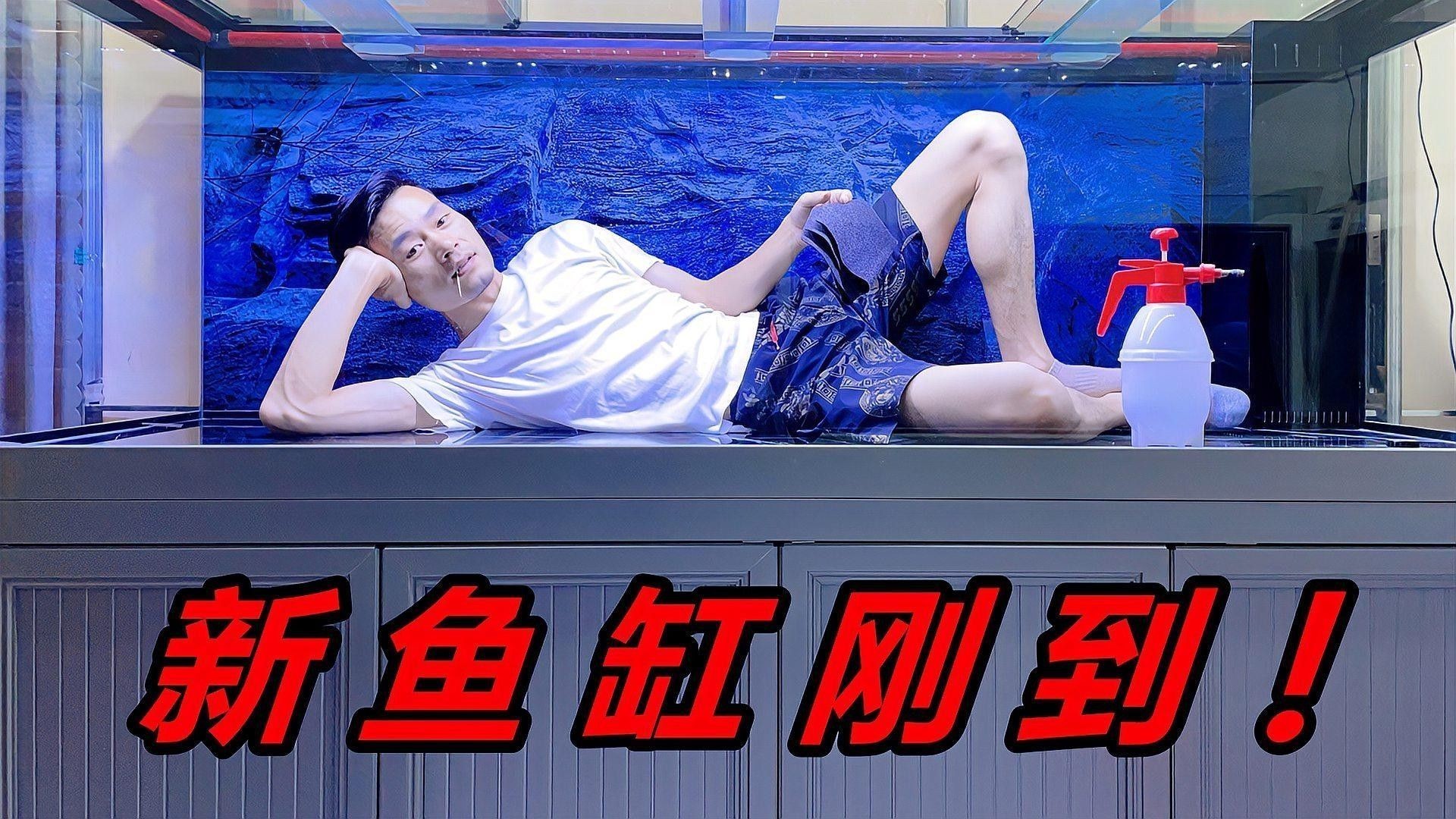 白龍魚需要多大的過濾系統？（萌寵百科小團團龍魚繁殖全解析魚缸過濾系統大揭秘） 白龍魚需要多大的過濾系統？（萌寵百科小團團龍魚繁殖全解析魚缸過濾系統大揭秘） 龍魚百科 第1張