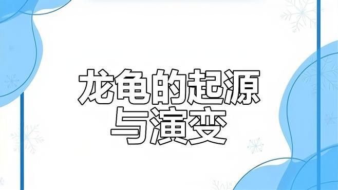 如何鑒別和田玉龍龜的真偽（如何辨別和田玉龍龜的真偽） 如何鑒別和田玉龍龜的真偽（如何辨別和田玉龍龜的真偽） 龍魚百科 第11張
