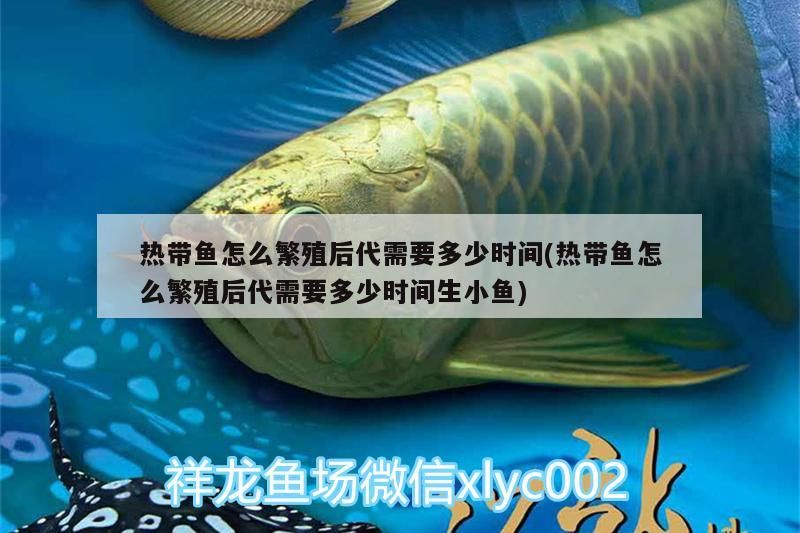 熱帶魚(yú)怎么繁殖后代需要多少時(shí)間(熱帶魚(yú)怎么繁殖后代需要多少時(shí)間生小魚(yú))（熱帶觀賞魚(yú)的繁殖周期） 熱帶魚(yú)怎么繁殖后代需要多少時(shí)間(熱帶魚(yú)怎么繁殖后代需要多少時(shí)間生小魚(yú))（熱帶觀賞魚(yú)的繁殖周期） 觀賞魚(yú)百科