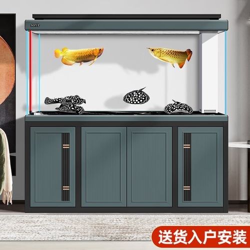 龍魚魚缸哪個品牌最好？（龍魚魚缸品牌推薦及魚缸品牌推薦及魚缸品牌推薦） 龍魚魚缸哪個品牌最好？（龍魚魚缸品牌推薦及魚缸品牌推薦及魚缸品牌推薦） 龍魚百科 第2張
