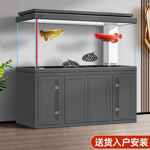 龍魚魚缸哪個品牌最好？（龍魚魚缸品牌推薦及魚缸品牌推薦及魚缸品牌推薦） 龍魚魚缸哪個品牌最好？（龍魚魚缸品牌推薦及魚缸品牌推薦及魚缸品牌推薦） 龍魚百科 第3張