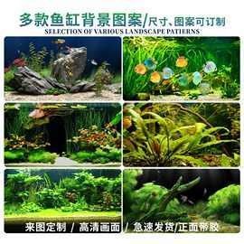 紅龍魚魚缸背景紙的價格范圍（紅龍魚魚缸背景紙價格）