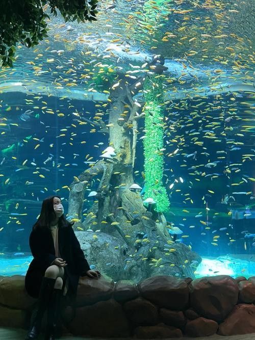 龍魚水族館的營業時間是（魚水族館營業時間是每天上午10點至晚上8點，周一至）