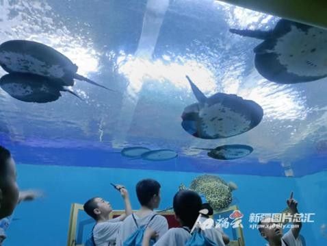 龍魚水族館的營業時間是（魚水族館營業時間是每天上午10點至晚上8點，周一至）