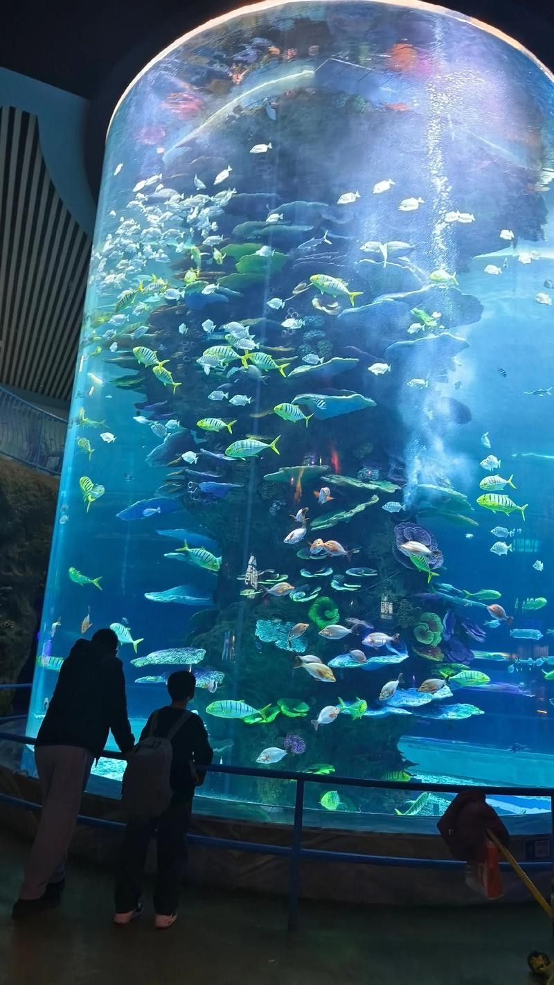 龍魚水族館的營業(yè)時間是（魚水族館營業(yè)時間是每天上午10點至晚上8點，周一至）