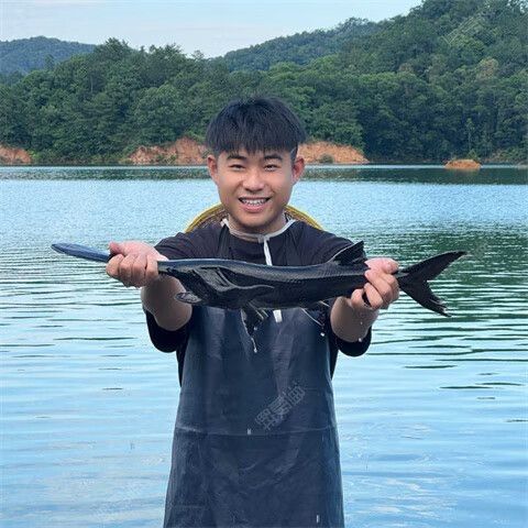 如何通過線上平臺購買萬綠湖魚？（萬綠湖魚新鮮鯪萬綠湖魚、翹嘴魚、翹嘴魚到家服務） 如何通過線上平臺購買萬綠湖魚？（萬綠湖魚新鮮鯪萬綠湖魚、翹嘴魚、翹嘴魚到家服務） 龍魚百科 第3張