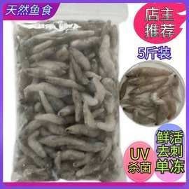 太原龍魚轉(zhuǎn)讓有哪些品種（太原地區(qū)龍魚轉(zhuǎn)讓市場）