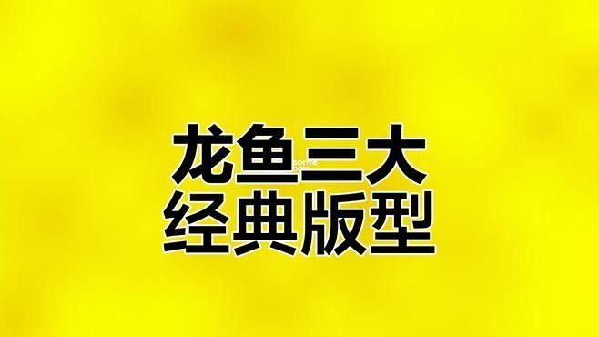 志丹哪個水族館龍魚好？祥龍魚場龍魚（祥龍魚場的龍魚以其獨特的色彩和優(yōu)雅的姿態(tài)而聞名）