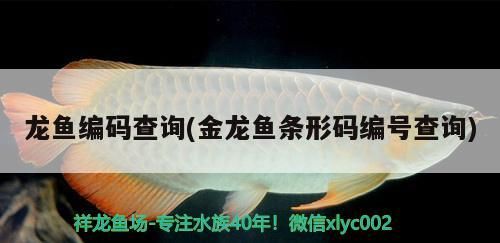 龍魚(yú)編碼查詢(金龍魚(yú)條形碼編號(hào)查詢)