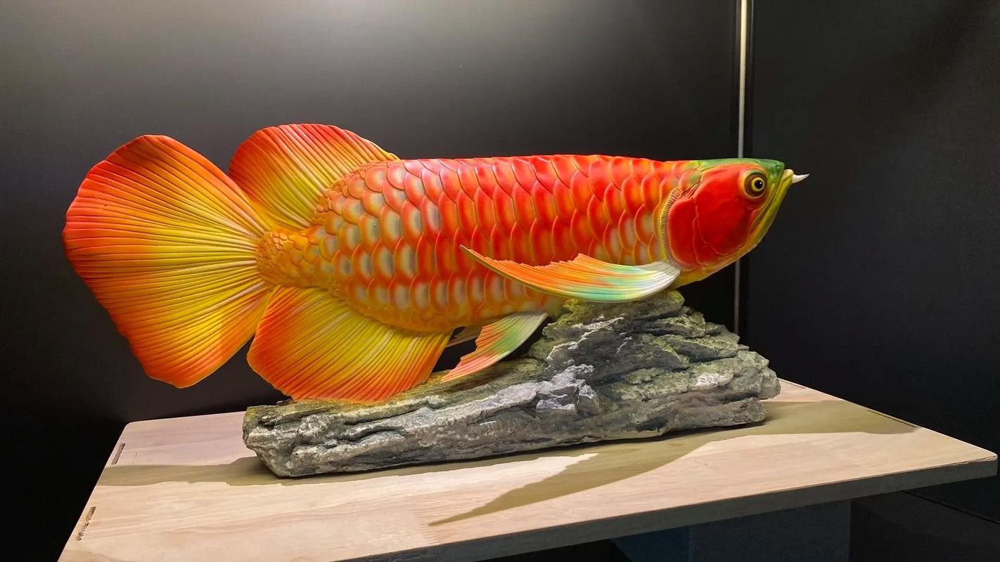 江海哪個水族館龍魚好？祥龍魚場龍魚（上海海洋水族館和祥龍魚場龍魚場龍魚推薦信息）