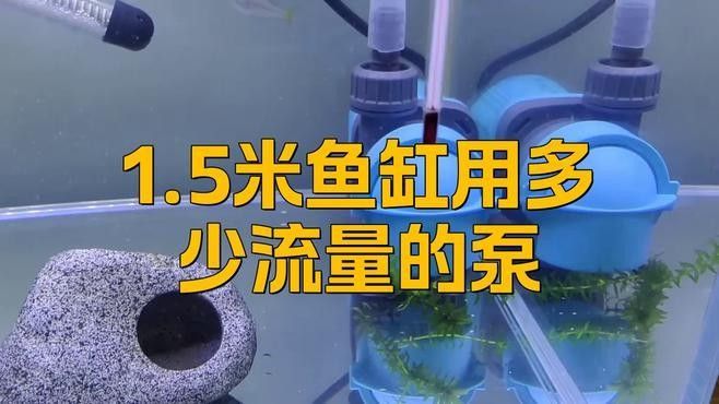 如何計算水泵的流量？（水泵流量的計算方法） 如何計算水泵的流量？（水泵流量的計算方法） 龍魚百科 第5張