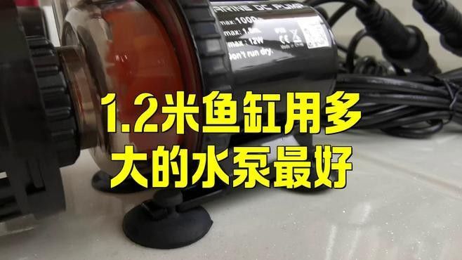 如何計算水泵的流量？（水泵流量的計算方法） 如何計算水泵的流量？（水泵流量的計算方法） 龍魚百科 第4張