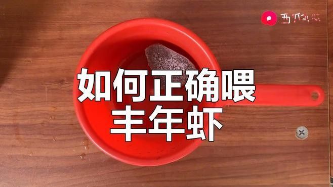 豐年蝦一次喂多少合適？（豐年蝦喂養技巧大揭秘,用量多少全看這里）