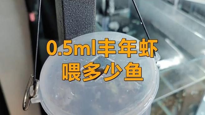 豐年蝦一次喂多少合適？（豐年蝦喂養技巧大揭秘,用量多少全看這里）