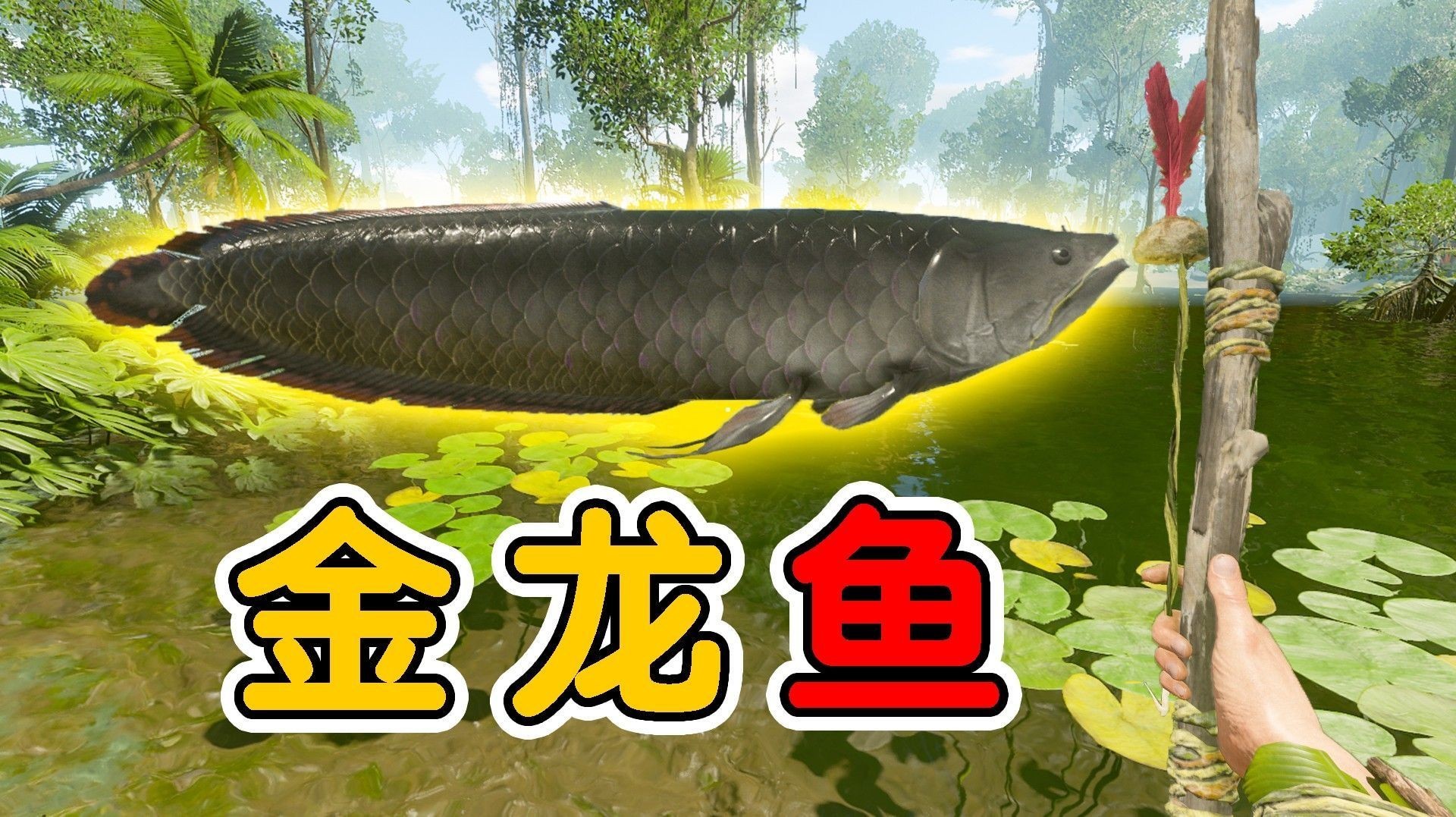 金龍魚餌有哪些經(jīng)典配方（經(jīng)典的金龍魚餌配方）