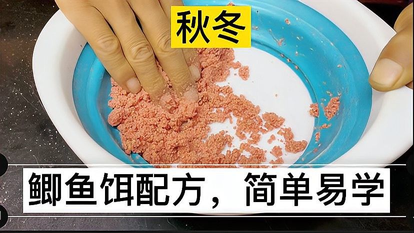 金龍魚餌有哪些經(jīng)典配方（經(jīng)典的金龍魚餌配方）