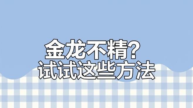 龍魚燈的色溫多少合適（魚燈的色溫選擇對觀賞效果和氛圍營造至關(guān)重要）