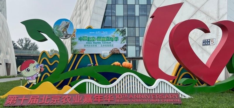 廈門哪家醫院做龍魚手術最好（廈門哪家醫院可以做龍魚手術）