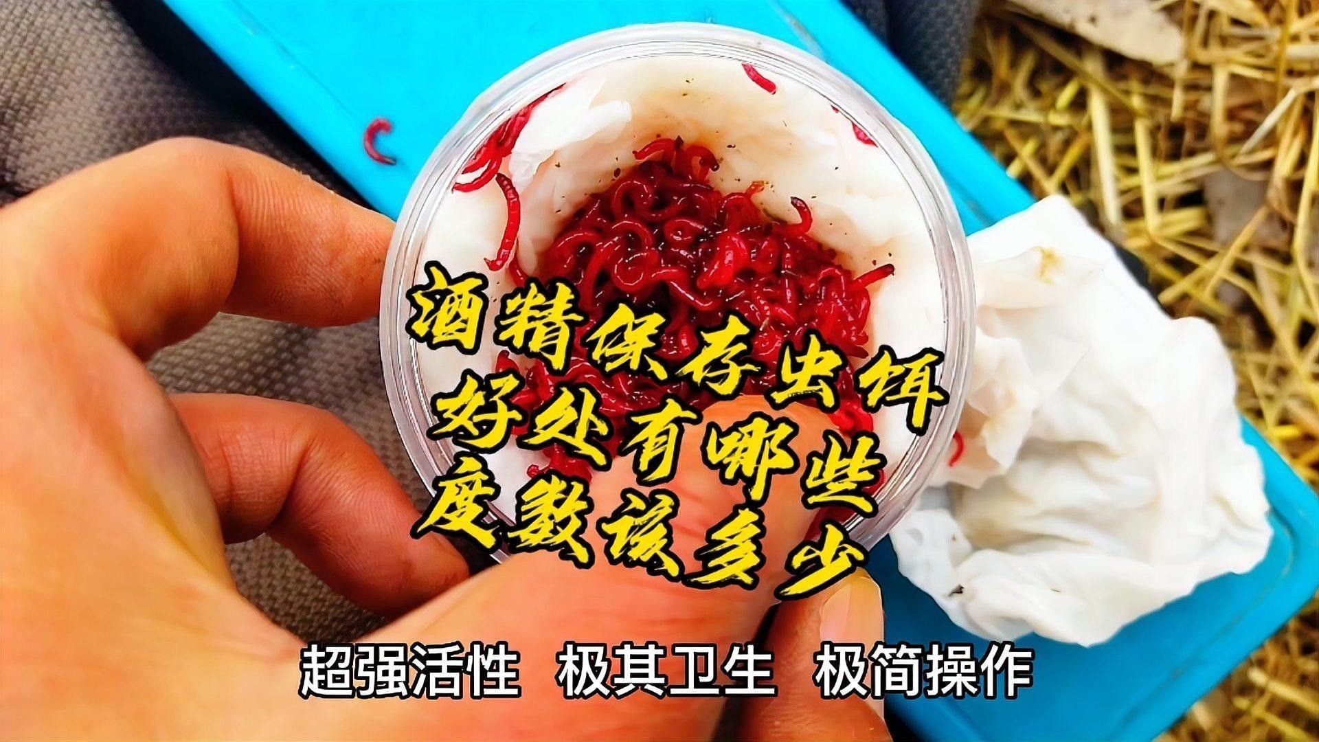 如何處理和消毒活餌？（小魚餌清理全攻略,教你如何徹底去鱗內臟問號學苑）
