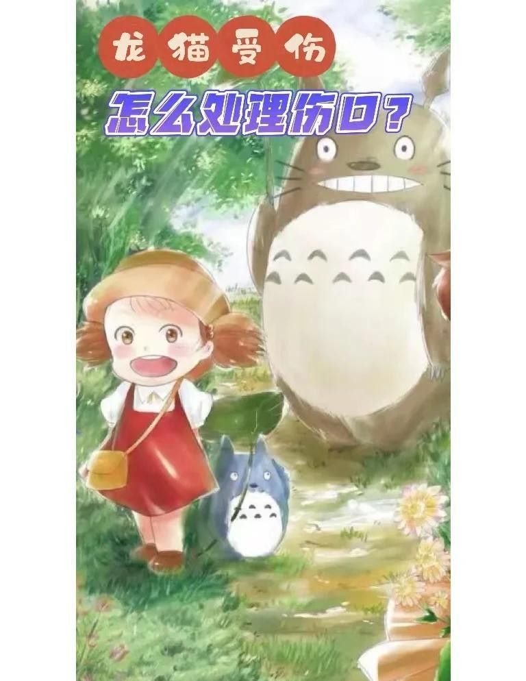 龍貓打架后多久會恢復？（貓打架后多久會恢復正常，龍貓打架后多久能恢復正常） 龍貓打架后多久會恢復？（貓打架后多久會恢復正常，龍貓打架后多久能恢復正常） 龍魚百科 第2張
