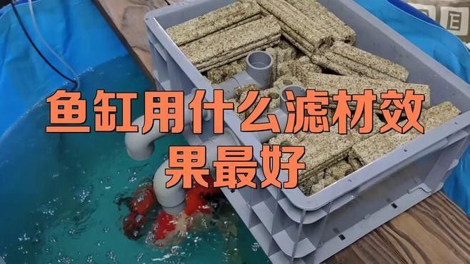 大型雷龍魚缸需要多大的過濾系統