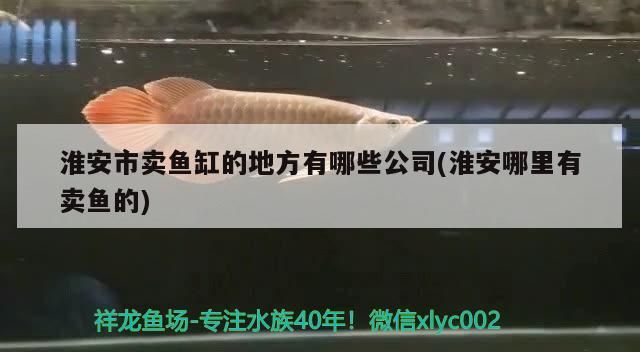 <strong><mark>淮安</mark></strong>市賣魚缸的地方有哪些公司(<strong><mark>淮安</mark></strong>哪里有賣魚的)（<strong><mark>淮安</mark></strong>賣魚缸的地方有哪些公司）