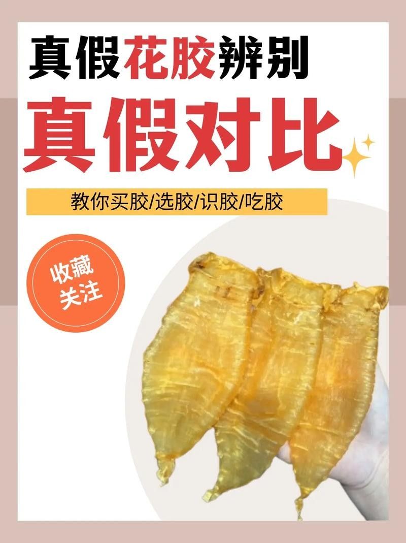 哪種魚膠更適合新手入門？（新手入門魚膠選擇指南）