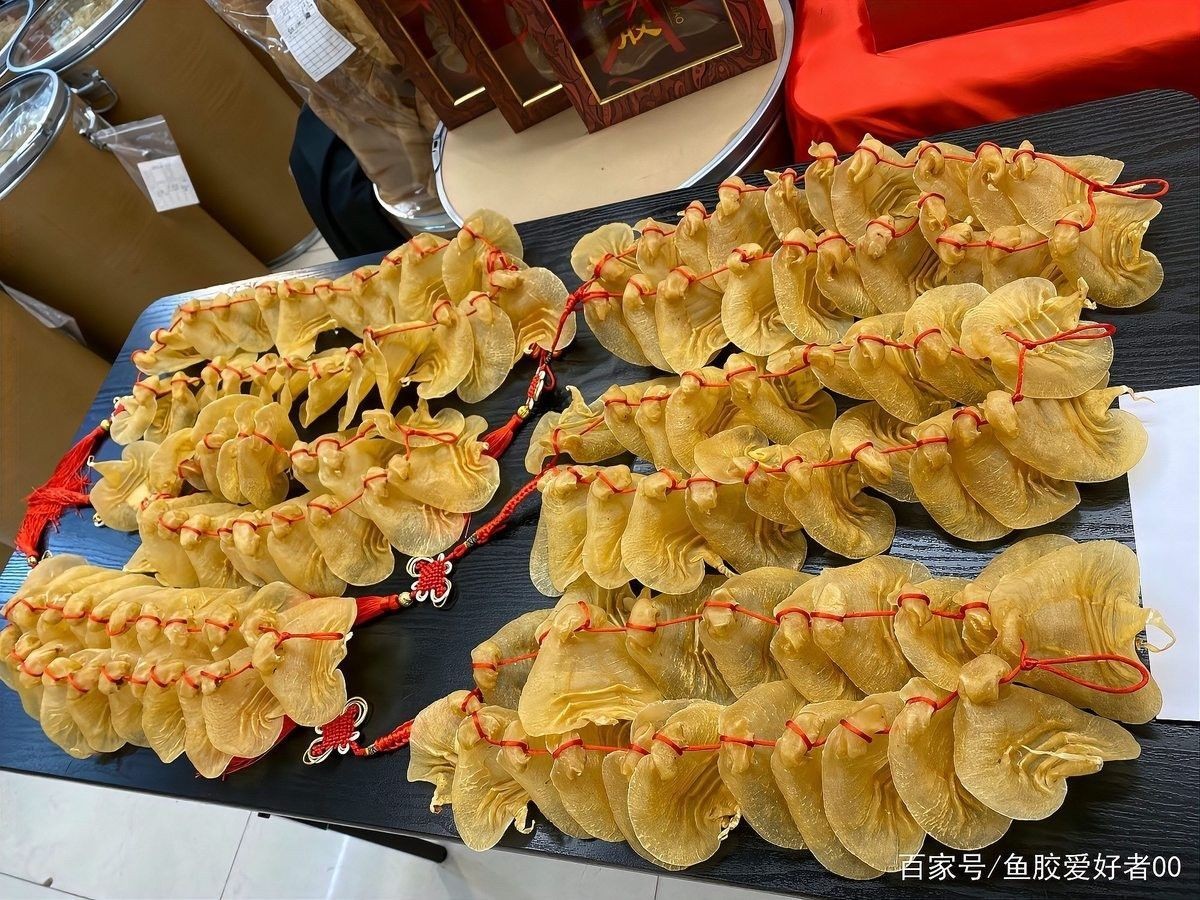 哪種魚膠更適合新手入門？（新手入門魚膠選擇指南）