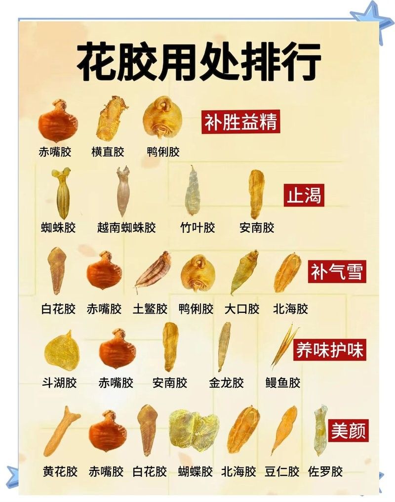 哪種魚膠更適合新手入門？（新手入門魚膠選擇指南）
