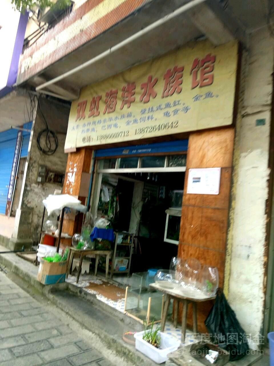 五峰哪個水族館龍魚好？祥龍魚場龍魚 五峰哪個水族館龍魚好？祥龍魚場龍魚 龍魚百科 第3張