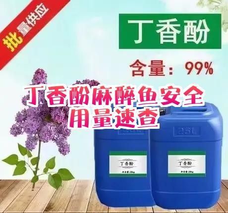 如何安全地給龍魚下麻藥（如何在不傷害龍魚的情況下安全地給龍魚下麻藥）