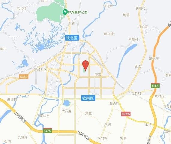 欽州龍魚市場在哪里？（中國廣西壯族自治區(qū)欽州龍魚市場是否存在或獲取其他市場信息） 欽州龍魚市場在哪里？（中國廣西壯族自治區(qū)欽州龍魚市場是否存在或獲取其他市場信息） 龍魚百科 第2張