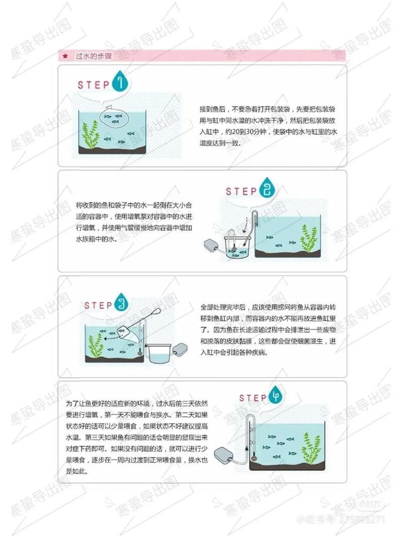如何為雷龍魚設(shè)置最佳水位 如何為雷龍魚設(shè)置最佳水位 龍魚百科 第6張