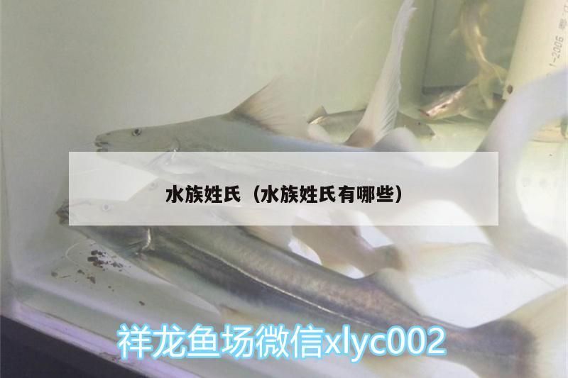 水族姓氏（水族姓氏有哪些）
