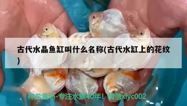 古代水晶魚缸叫什么名稱(古代水缸上的花紋)