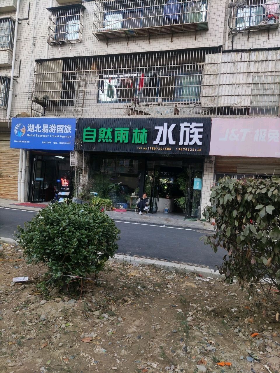 谷城哪個水族館龍魚好？祥龍魚場龍魚（自然雨林水族有龍魚賣嗎？）