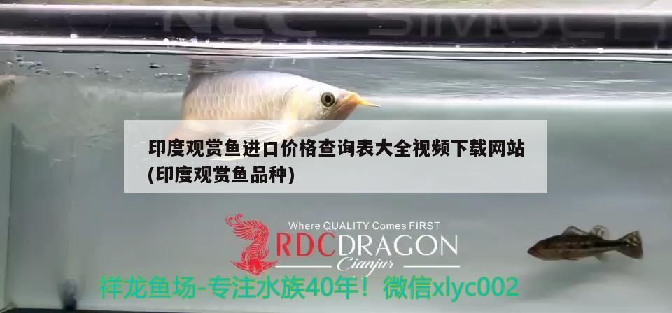 印度觀賞魚進口價格查詢表大全視頻下載網站(印度觀賞魚品種)