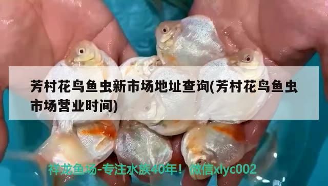 黃南藏族自治州哪里有水族館（黃南水庫）（青海旅游景點介紹）