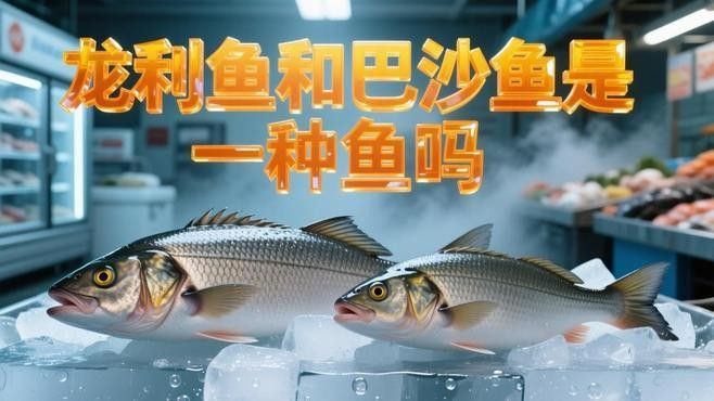 如何區分巴沙魚和龍利魚？（巴沙魚和龍利魚的區別）